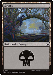 Swamp (#281)\nTarkir: Dragonstorm\nSingle\nMagic The Gathering