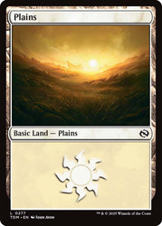 Plains (#277)\nTarkir: Dragonstorm\nSingle\nMagic The Gathering
