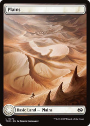 Plains (#272) (Full Art)\nTarkir: Dragonstorm\nSingle\nMagic The Gathering