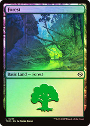 Forest (#285)\nTarkir: Dragonstorm\nSingle\nMagic The Gathering