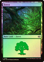 Forest (#286)\nTarkir: Dragonstorm\nSingle\nMagic The Gathering