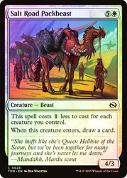 Salt Road Packbeast\nTarkir: Dragonstorm\nSingle\nMagic The Gathering