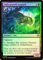 Undergrowth Leopard\nTarkir: Dragonstorm\nSingle\nMagic The Gathering