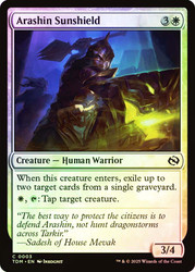 Arashin Sunshield\nTarkir: Dragonstorm\nSingle\nMagic The Gathering