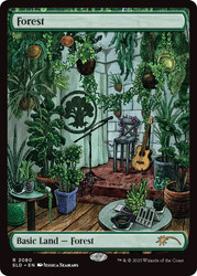 Forest (Secret Lair) (#2080) (Full Art)\nPromo: General\nSingle\nMagic The Gathering