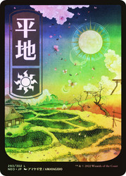 Plains (#293)
Kamigawa: Neon Dynasty - Japanese
Single
Magic: The Gathering