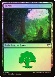 Forest
Secrets of Strixhaven
Single
Magic: The Gathering