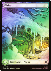Plains
The Hobbit
Single
Magic: The Gathering