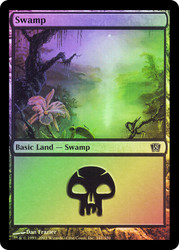 Swamp (#341)\n8th Edition\nSingle\nMagic The Gathering