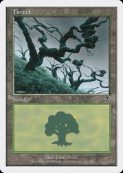 Forest (#331)\n7th Edition\nSingle\nMagic The Gathering