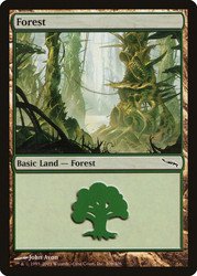 Forest (#306)\nMirrodin\nSingle\nMagic The Gathering