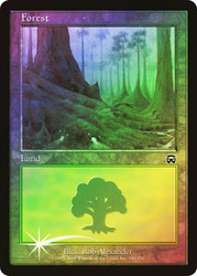 Forest (#348)\nMercadian Masques\nSingle\nMagic The Gathering
