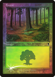 Forest (#347)\nOdyssey\nSingle\nMagic The Gathering