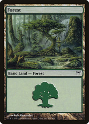 Forest (#304)\nChampions of Kamigawa\nSingle\nMagic The Gathering