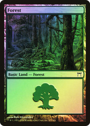 Forest (#305)\nChampions of Kamigawa\nSingle\nMagic The Gathering