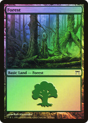 Forest (#303)\nChampions of Kamigawa\nSingle\nMagic The Gathering