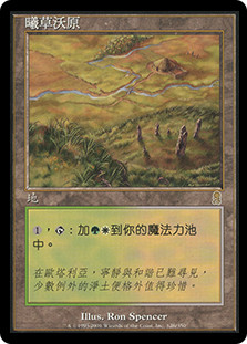 Sungrass Prairie
Odyssey - Chinese Traditional
Single
Magic The Gathering