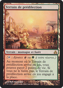 Stomping Ground
Guildpact - French
Single
Magic The Gathering