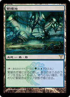 Breeding Pool
Dissension - Japanese
Single
Magic The Gathering