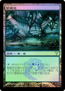Breeding Pool | Dissension - Chinese - Simplified | Star City Games