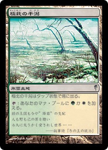 Arctic Flats
Coldsnap - Japanese
Single
Magic The Gathering