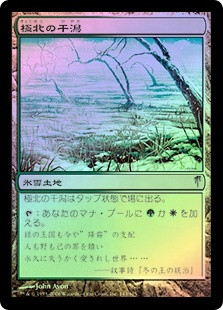 Arctic Flats
Coldsnap (Foil) - Japanese
Single
Magic The Gathering
