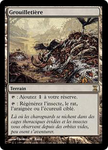 Swarmyard
Time Spiral - French
Single
Magic The Gathering