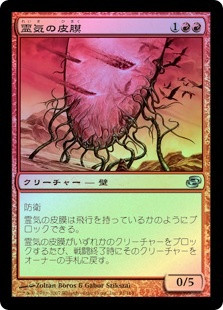 Aether Membrane
Planar Chaos (Foil) - Japanese
Single
Magic The Gathering