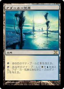 Adarkar Wastes
10th Edition - Japanese
Single
Magic The Gathering