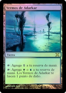 Adarkar Wastes
10th Edition (Foil) - Spanish
Single
Magic The Gathering