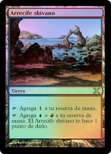 Shivan Reef
10th Edition (Foil) - Spanish
Single
Magic The Gathering