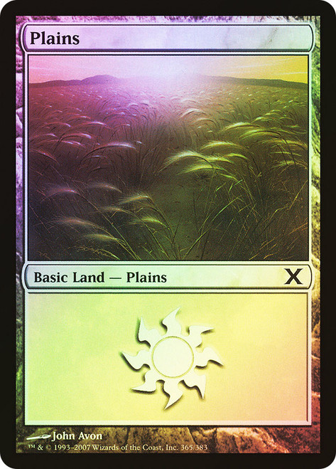 Plains (#365)\n10th Edition\nSingle\nMagic The Gathering