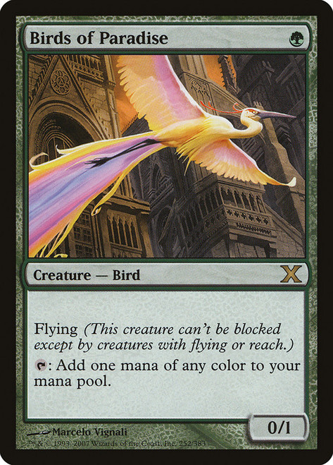 Birds of Paradise\n10th Edition\nSingle\nMagic The Gathering