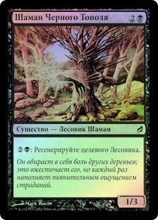 Black Poplar Shaman
Lorwyn (Foil) - Russian
Single
Magic The Gathering