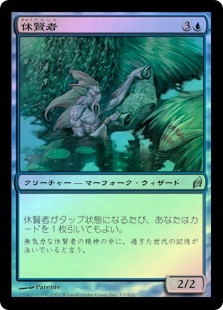 Fallowsage
Lorwyn (Foil) - Japanese
Single
Magic The Gathering