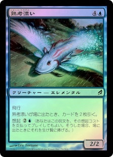 Mulldrifter
Lorwyn (Foil) - Japanese
Single
Magic The Gathering