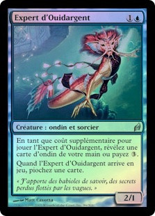 Silvergill Adept
Lorwyn (Foil) - French
Single
Magic The Gathering