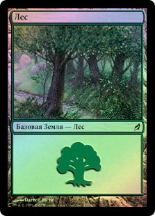 Forest (#301)
Lorwyn (Foil) - Russian
Single
Magic The Gathering
