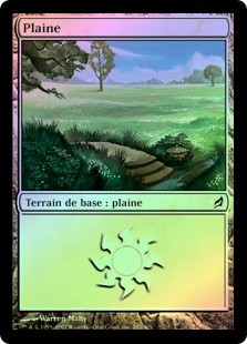 Plains (#282)
Lorwyn (Foil) - French
Single
Magic The Gathering