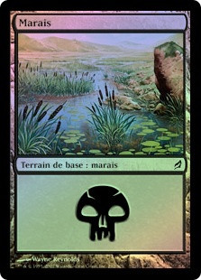 Swamp (#292)
Lorwyn (Foil) - French
Single
Magic The Gathering