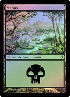 Swamp (#293)
Lorwyn (Foil) - French
Single
Magic The Gathering