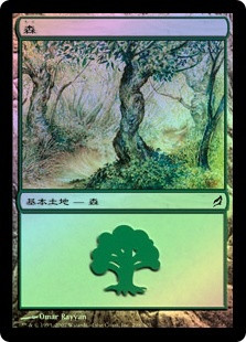 Forest (#298)
Lorwyn (Foil) - Japanese
Single
Magic The Gathering