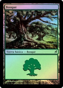 Forest (#299)
Lorwyn (Foil) - Spanish
Single
Magic The Gathering