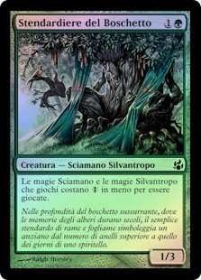 Bosk Banneret
Morningtide (Foil) - Italian
Single
Magic The Gathering