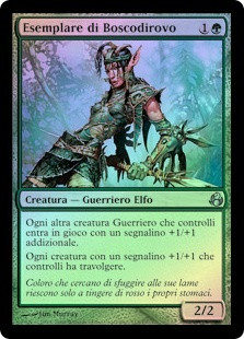 Bramblewood Paragon
Morningtide (Foil) - Italian
Single
Magic The Gathering