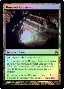 Murmuring Bosk
Morningtide (Foil) - French
Single
Magic The Gathering