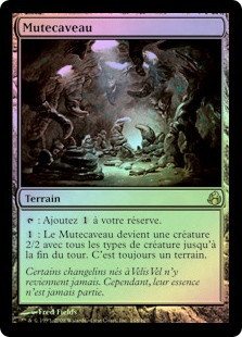 Mutavault
Morningtide (Foil) - French
Single
Magic The Gathering