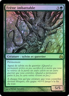 Unstoppable Ash
Morningtide (Foil) - French
Single
Magic The Gathering
