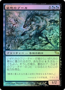 Cemetery Puca
Shadowmoor (Foil) - Japanese
Single
Magic The Gathering