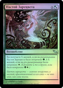 Dawnglow Infusion
Shadowmoor (Foil) - Russian
Single
Magic The Gathering
